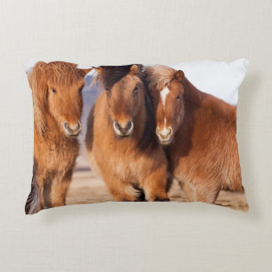 Icelandic Horse during winter Decorative Cushion