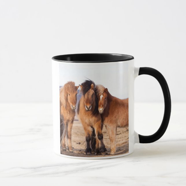 Icelandic Horse during winter Mug (Right)