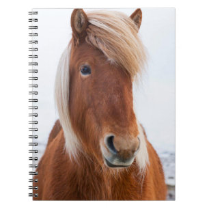 Icelandic Horse during winter Notebook