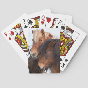 Icelandic Horse during winter on Iceland 3 Playing Cards