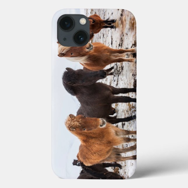 Icelandic Horse during winter on Iceland Case-Mate iPhone Case (Back)
