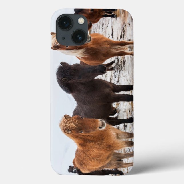 Icelandic Horse during winter on Iceland Case-Mate iPhone Case (Back)