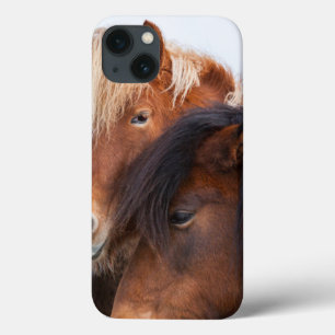 Icelandic Horse during winter on Iceland iPhone 13 Case