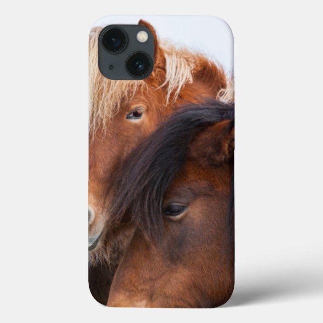 Icelandic Horse during winter on Iceland Case-Mate iPhone Case (Back)