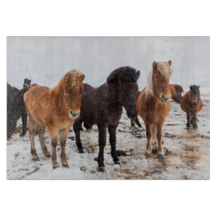 Icelandic Horse during winter on Iceland Cutting Board