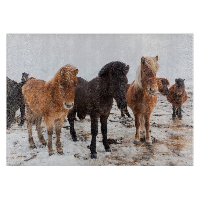 Icelandic Horse during winter on Iceland Cutting Board (Front)