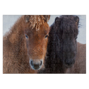 Icelandic Horse during winter on Iceland Cutting Board