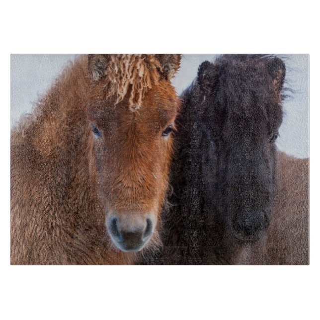 Icelandic Horse during winter on Iceland Cutting Board (Front)