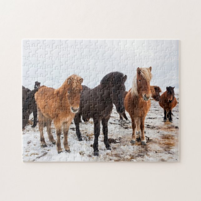 Icelandic Horse during winter on Iceland Jigsaw Puzzle (Horizontal)