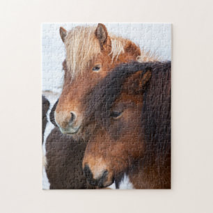 Icelandic Horse during winter on Iceland Jigsaw Puzzle