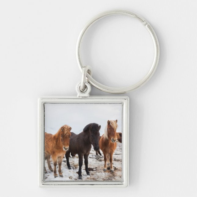 Icelandic Horse during winter on Iceland Key Ring (Front)