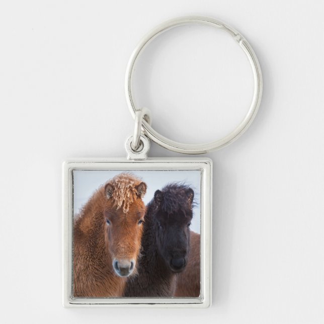 Icelandic Horse during winter on Iceland Key Ring (Front)