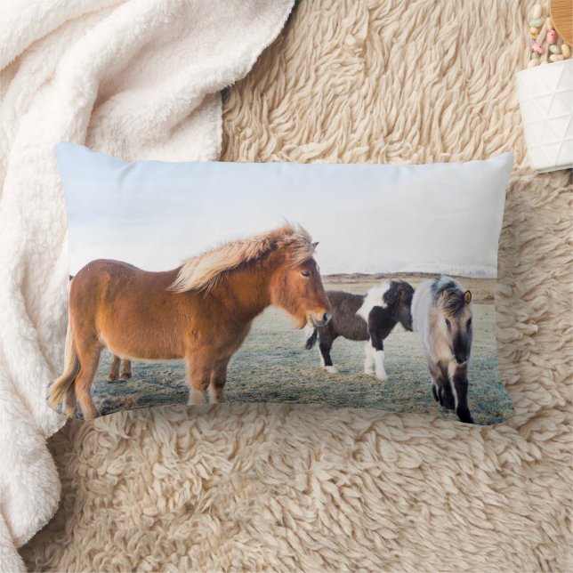 Icelandic Horse During Winter on Iceland Lumbar Cushion (Blanket)