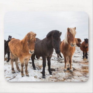 Icelandic Horse during winter on Iceland Mouse Mat