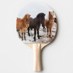 Icelandic Horse during winter on Iceland Ping Pong Paddle