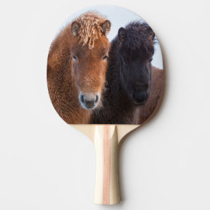 Icelandic Horse during winter on Iceland Ping Pong Paddle