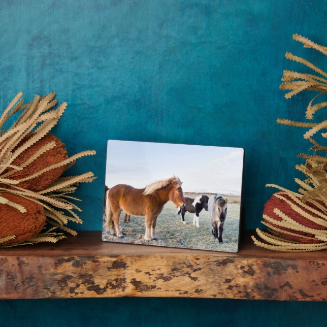 Icelandic Horse During Winter on Iceland Plaque (Side)