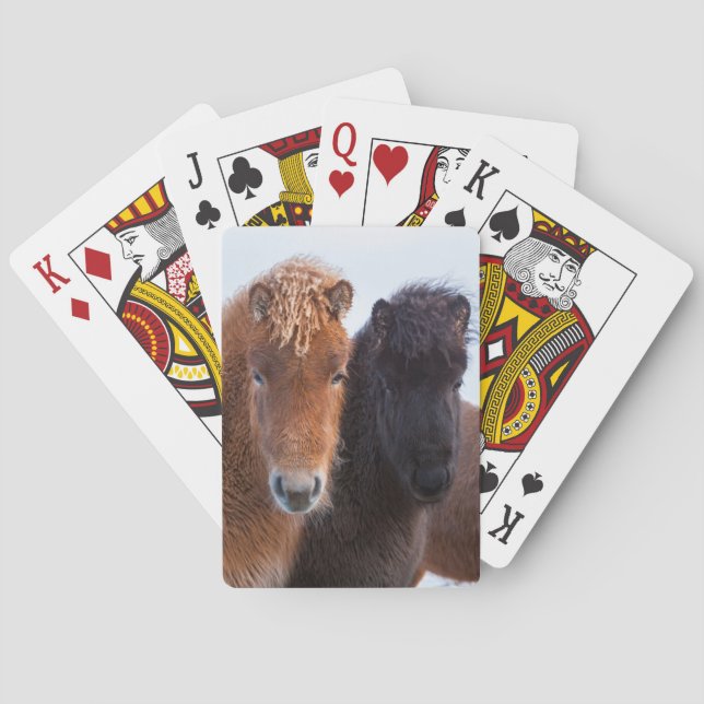 Icelandic Horse during winter on Iceland Playing Cards (Back)