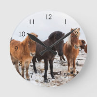 Icelandic Horse during winter on Iceland