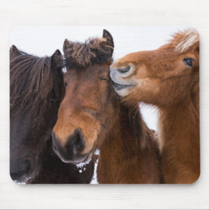 Icelandic Horse friends, Iceland Mouse Mat