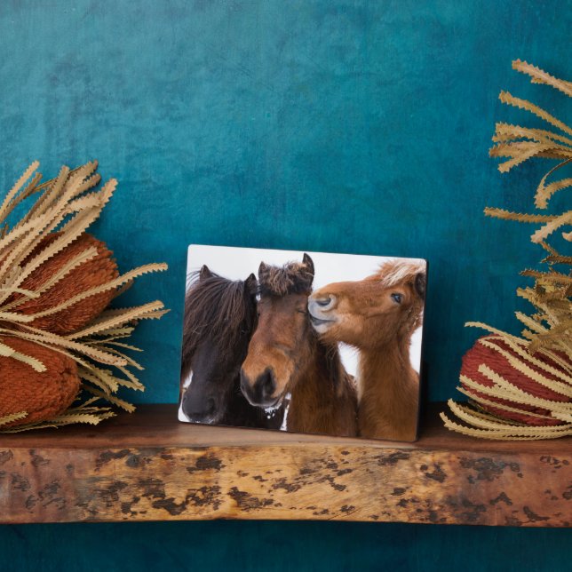 Icelandic Horse Friends, Iceland Plaque (Side)