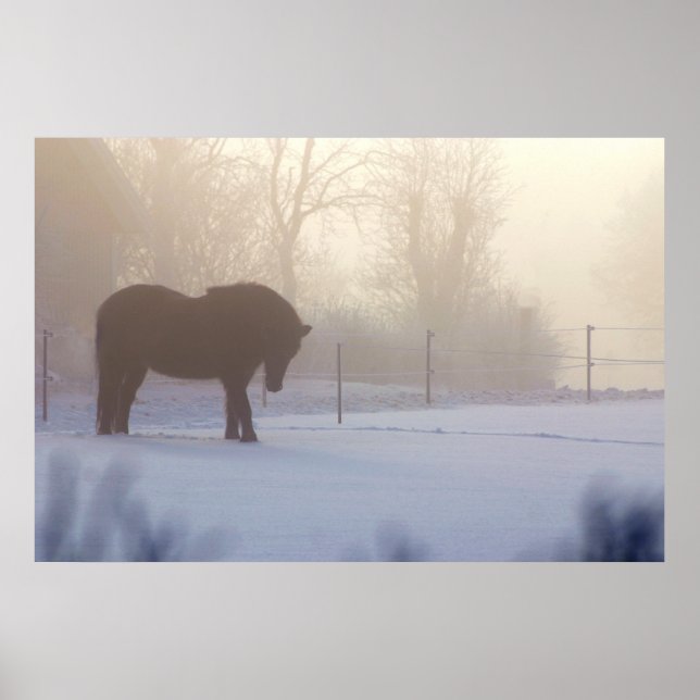Icelandic Horse in a  Frosty Mist Poster (Front)