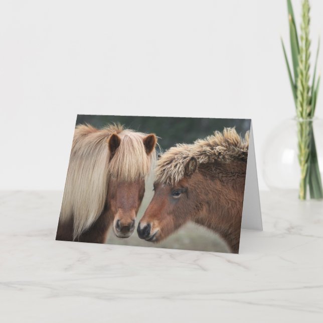 Icelandic Horse Note Cards (Front)
