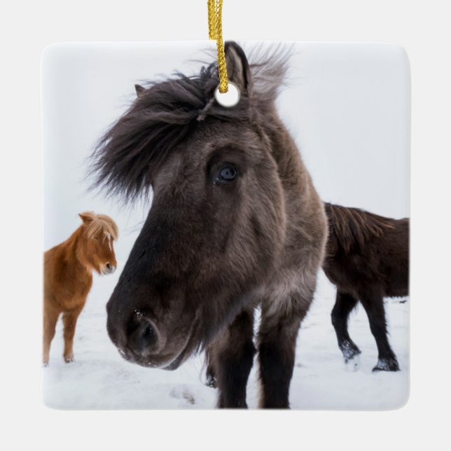 Icelandic Horse portrait, Iceland Ceramic Ornament (Front)