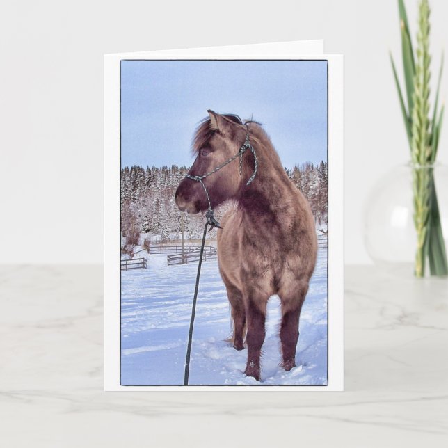 Icelandic Horse Power Holiday Card (Front)