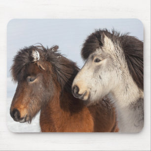 Icelandic Horse profile, Iceland Mouse Mat