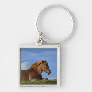Icelandic horse resting and sky key ring