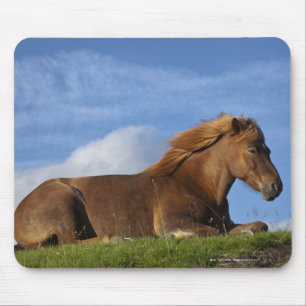 Icelandic horse resting and sky mouse mat