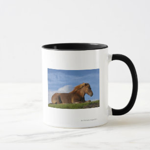 Icelandic horse resting and sky mug