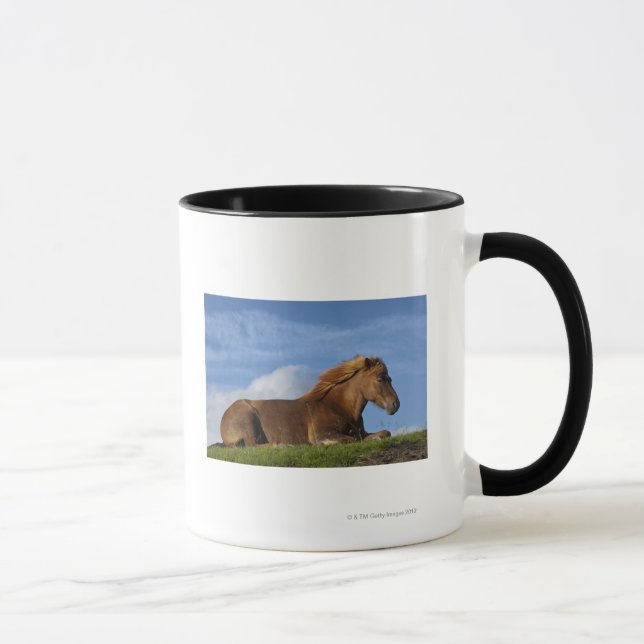 Icelandic horse resting and sky mug (Right)