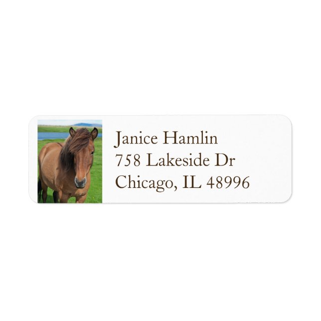 Icelandic Horse return address label (Front)