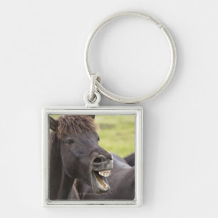 Icelandic horse with funny expression key ring