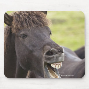 Icelandic horse with funny expression mouse mat