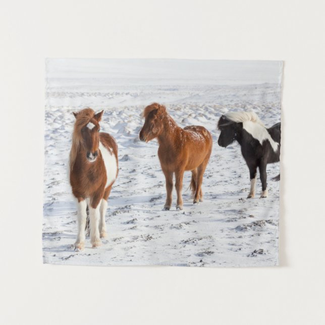 Icelandic Horse with Typical Winter Coat Tapestry (Front (Horizontal))