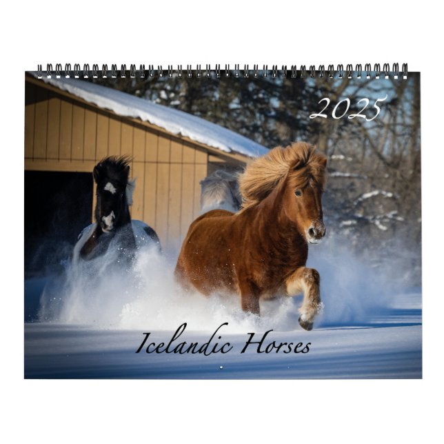 Icelandic Horses 2025 Calendar (Cover)