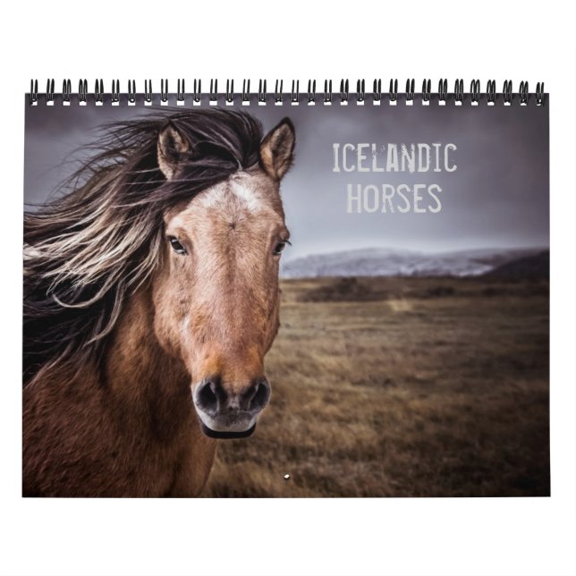 Icelandic Horses Calendar (Cover)