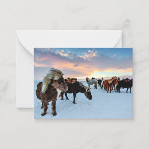 Icelandic Horses Card