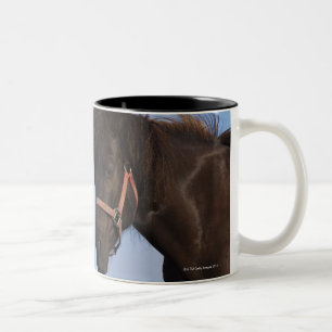 Icelandic horses facing each other Two-Tone coffee mug