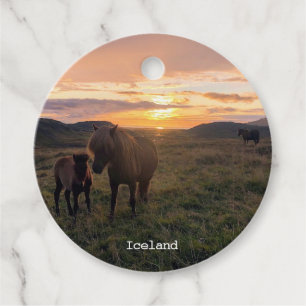 Icelandic horses - favour tags
