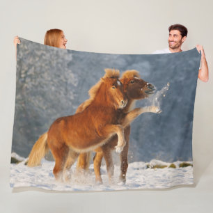 Icelandic Horses Foal Playing in Snow Funny Photo Fleece Blanket