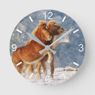 Icelandic Horses Foal Playing in Snow Funny Photo Round Clock