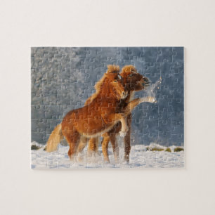 Icelandic horses foal playing in snow jigsaw puzzle