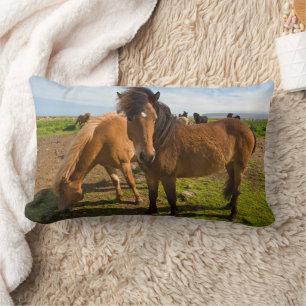 Icelandic Horses Graze Lumbar Cushion