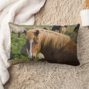 Icelandic Horses in Northeastern Iceland Lumbar Cushion