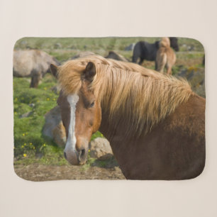 Icelandic Horses in Northeastern Iceland Sherpa Blanket