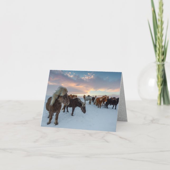 Icelandic Horses in Snow Holiday Card (Front)